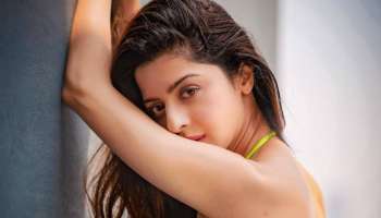 Actress Vedhika: ഗ്ലാമറസ് ലുക്കിൽ വേദിക, വൈറൽ