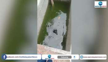 Dog rescued from septic tank in Thrissur