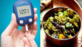 Ivy Gourd As Diabetes Diet: പ്രമേഹ രോഗികൾക്ക് ഒരു അനുഗ്രഹമാണ് ഈ പച്ചക്കറി, ഹൃദയാഘാതം ഉണ്ടാകാതിരിക്കാനും ഉത്തമം