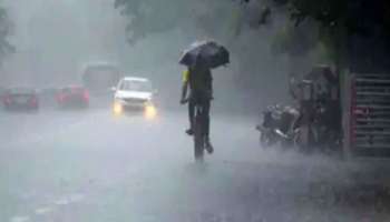 Kerala Rain Update: സംസ്ഥാനത്ത് ഇന്നും മഴയ്ക്ക് സാധ്യത; 12 ജില്ലകളിൽ യെല്ലോ അലർട്ട്