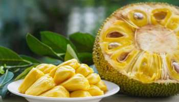 Jackfruit benefits: അത്ര നിസ്സാരക്കാരനല്ല ചക്ക, ഗുണങ്ങൾ പലവിധം