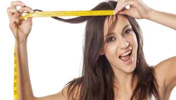 Healthy Hair Tips: ഇടതൂര്‍ന്ന അഴകാര്‍ന്ന മുടി വേണോ? ഈ ഭക്ഷണപദാര്‍ത്ഥങ്ങള്‍ നിങ്ങളുടെ ഡയറ്റിൽ ഉള്‍പ്പെടുത്തിയാല്‍ മതി