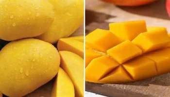 Mango Side Effects: മാമ്പഴം കഴിച്ചതിന് ശേഷം ഈ സാധനങ്ങള്‍ കഴിയ്ക്കരുത് 