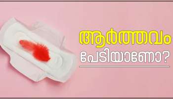 ആർത്തവം പേടിയാണോ ? &#039; ഇല ഗ്രീൻ&#039; നിങ്ങളുടെ ചർമ്മത്തിനും പരിസ്ഥിതിക്കും