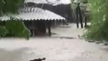 Gujarat heavy rain, flood