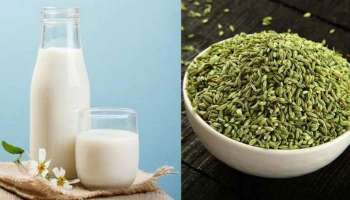 Fennel Milk Benefits: പാലിനൊപ്പം ഇത് ചേർത്ത് കുടിക്കൂ.. ശരീരത്തിന് ബലഹീനത ഉണ്ടാവില്ല!