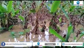 Residents suffer heavy losses due to heavy rain in Malappuram 