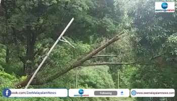 Residents suffer heavy losses due to heavy rain in Attappady