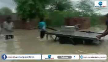Heavy Rainfall causes major losses in Rajasthan