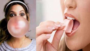 Chewing Gum:ച്യൂയിംഗ് ഗം ചവച്ചാൽ ഓർമ്മ ശക്തി കൂടുമോ? ശരിക്കും എന്താണ് ഗുണം