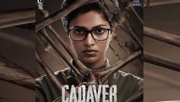 Cadaver Movie Release : അമല പോളിന്റെ &#039;കാടവെര്‍&#039; നേരിട്ട് ഒടിടിയിലെത്തും; റിലീസ് ഡിസ്‍നി പ്ലസ് ഹോട്സ്റ്റാറില്‍