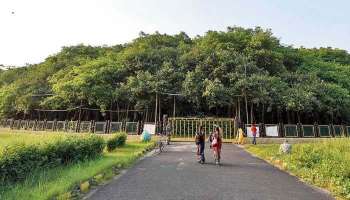 Banyan Tree: ലോകത്തിലെ ഏറ്റവും വലിയ ആല്‍മരം എവിടെയാണ് എന്നറിയുമോ? ഈ ചിത്രങ്ങള്‍ പറയും 