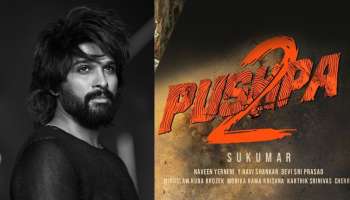 Pushpa 2: രണ്ടാം ഭാഗത്തിൻറെ പ്രമോഷന് മാത്രം 50 കോടി; പുഷ്പ രണ്ടിൻറെ ബജറ്റ് ഞെട്ടിക്കുന്നതെന്ന് റിപ്പോർട്ട്