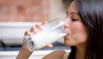 Milk Sideeffects : പാൽ അധികം കുടിക്കുന്നതിന്റെ പ്രശ്‌നങ്ങളും, ശ്രദ്ധിക്കേണ്ട കാര്യങ്ങളും