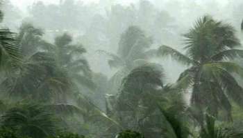 Kerala Rain Crisis : മഴക്കെടുതി; ജില്ലാ കലക്ടർമാരുടെ പ്രത്യേക യോഗം മുഖ്യമന്ത്രി വിളിച്ചു