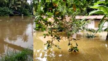 Kerala flood alert: ഏഴ് ഡാമുകളിൽ റെഡ് അലർട്ട്; നദീതീരങ്ങളിൽ ജാ​ഗ്രത നിർദേശം തുടരുന്നു