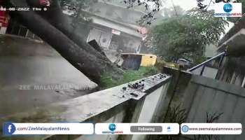 Kerala Heavy Rain, Tree falls on road in Aluva