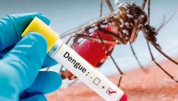 Dengue Fever : മഴ കെടുത്തിക്കൊപ്പം സൂക്ഷിക്കണം ഡെങ്കിപ്പനിയും; രോഗലക്ഷണങ്ങൾ, മുൻകരുതലുകൾ തുടങ്ങി അറിയേണ്ടതെല്ലാം