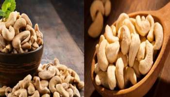 Benefits of Cashew nut: കശുവണ്ടിപ്പരിപ്പ് കഴിച്ചാൽ നിരവധിയാണ് ആരോ​ഗ്യ​ഗുണങ്ങൾ