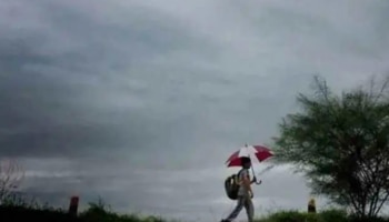 Kerala Rain Update: തീവ്ര ന്യൂനമർദ്ദം ശക്തി കുറഞ്ഞു, കേരളത്തിൽ മിക്ക ജില്ലകളിലും മഴ ഒഴിയുന്നു