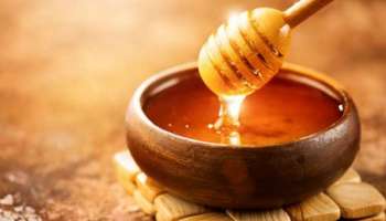 Honey benefits and side effects: ഗുണങ്ങളും ദോഷങ്ങളുമുണ്ട്; തേൻ കഴിക്കുന്നത് ഒഴിവാക്കേണ്ടവർ ഈ വിഭാ​ഗങ്ങളാണ്