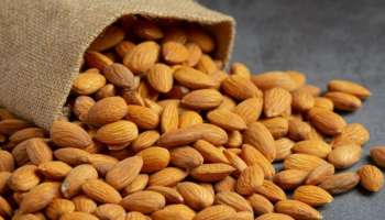Almond Benefits: ദിവസവും ബദാം കഴിക്കാം... നിരവധിയാണ് ആരോ​ഗ്യ ​ഗുണങ്ങൾ