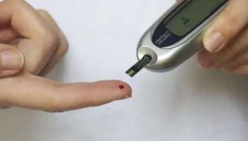 Blood sugar level: പ്രമേഹരോ​ഗികൾ അറി‍ഞ്ഞിരിക്കണം ഇക്കാര്യങ്ങൾ; രക്തത്തിലെ പഞ്ചസാരയുടെ അളവ് സാധാരണ നിലയിലാക്കാം