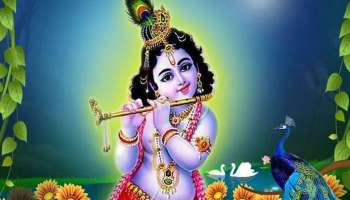 Sreekrishna Jayanthi observes in Kerala today: ഇന്ന് ശ്രീകൃഷ്ണ ജയന്തി; പതിനായിരത്തിലേറെ കേന്ദ്രങ്ങളിൽ ശോഭായാത്ര നടക്കും 