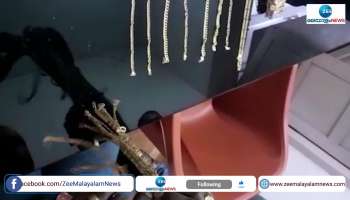Thief caught with gold ornaments