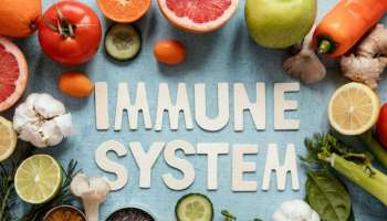 Immunity Boosting foods: രോ​ഗപ്രതിരോധ ശേഷി വർധിപ്പിക്കാൻ ഈ ഭക്ഷണങ്ങൾ മറക്കാതെ കഴിക്കാം