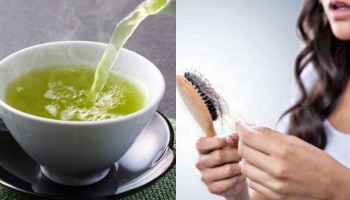 ​Green Tea Benefits: ഗ്രീൻ ടീ ഉണ്ടോ? എങ്കിൽ മുടി കൊഴിച്ചിലും താരനും കുറയ്ക്കാൻ എളുപ്പമല്ലേ....