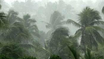 Kerala Weather Report: സംസ്ഥാനത്ത് ഇന്നും വ്യാപക മഴയ്ക്ക് സാധ്യത; 9 ജില്ലകളിൽ യെല്ലോ അലർട്ട്!