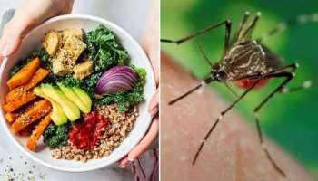 Dengue fever: ഡെങ്കിപ്പനിയിൽ നിന്ന് വേഗത്തിൽ രോ​ഗമുക്തി നേടാം... ഇക്കാര്യങ്ങൾ ശ്രദ്ധിക്കൂ