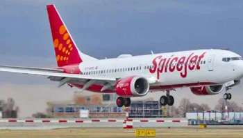 SpiceJet: 789 കോടി രൂപയുടെ നഷ്ടം, സ്‌പൈസ്‌ ജെറ്റ് CFO രാജിവച്ചു