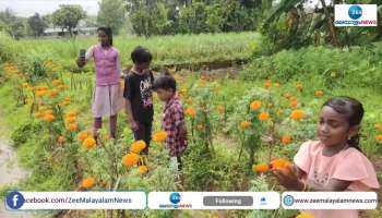 Marigold flower cultivation by a eight standard girl for take selfie