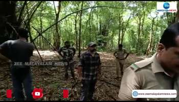 Trained Kumkis Arrived in Thrissur For Elephant Hunting