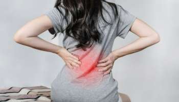 Back Pain: വിട്ടുമാറാത്ത നടുവേദന അലട്ടുന്നുണ്ടോ... കാരണങ്ങൾ ഇവയാകാം