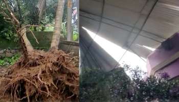 Cyclone: തൃശൂർ ചാലക്കുടിയിൽ വീണ്ടും മിന്നൽ ചുഴലി