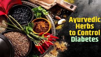 Herbs for Diabetes: പ്രമേഹം കുറയ്ക്കും അടുക്കളയിലെ ചില വിരുതന്മാര്‍...!