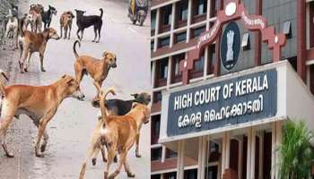 High Court On stray Dog Attack: സംസ്ഥാനത്ത് തെരുവുനായ ആക്രമണം രൂക്ഷം; ഹൈക്കോടതിയുടെ പ്രത്യേക സിറ്റിംഗ് ഇന്ന്  