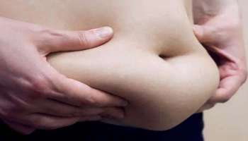 Belly Fat: കുടവയര്‍ എളുപ്പത്തില്‍ കുറയ്ക്കാം, ഇതാ 5 വഴികള്‍