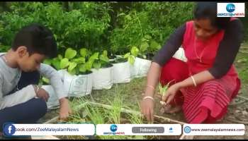  A 7th grade boy farmer grows garlic in Upper Kuttanad