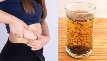 Weight Loss Drink: വയർ ഉള്ളിലാക്കാൻ ഈ മാന്ത്രിക പാനീയം വീട്ടിൽ തയ്യാറാക്കൂ, വൈകാതെ ലഭിക്കും Flat Tummy!