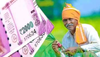 PM Kisan Yojana 12th Instalment: പ്രധാനമന്ത്രി കിസാൻ സമ്മാൻ നിധിയുടെ 12-ാം ഗഡു ഇന്നെത്തും, ബാലൻസ് എങ്ങിനെ പരിശോധിക്കാം 