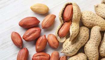 Health Benefits of Peanuts: നിലക്കടല കഴിച്ചാലുള്ള ആരോ​ഗ്യ​ഗുണങ്ങള്‍ അറിയാം  