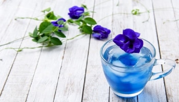 Blue Tea Benefits: ​ഗ്രീൻ ടീ, ബ്ലാക്ക് ടീ എന്നൊക്കെ കേട്ടിട്ടുണ്ട്, എന്താണ് ഈ ബ്ലൂ ടീ? ​ഗുണങ്ങൾ അറിയാം