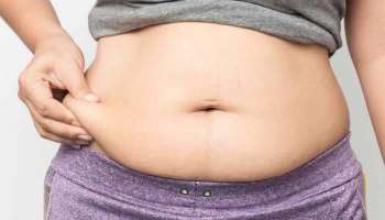 Body Weight Control: ശരീരഭാരം കൂളായി നിയന്ത്രിക്കാം, ഈ ഭക്ഷണങ്ങള്‍ രാത്രിയില്‍  ഒഴിവാക്കിയാല്‍ മതി...!! 