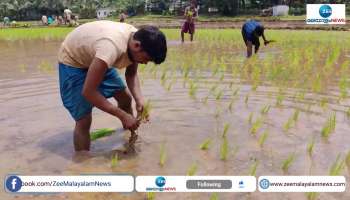 Kerala Farming 