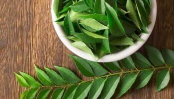 Curry Leaves benefits: കറിവേപ്പിലയെന്ന് വെച്ച് എടുത്ത് കളയേണ്ട... ഒരുപാടുണ്ട് ​ഗുണങ്ങൾ