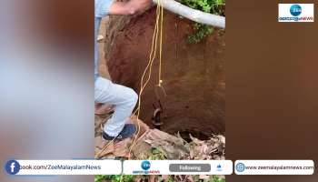 cobra video cobra with seven feet long caught from the well cobra video in social media